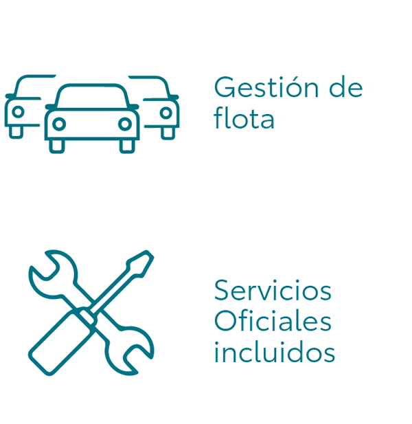 Gestión - Servicios Oficiales